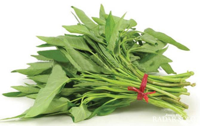 Kangkung 1 Ikat